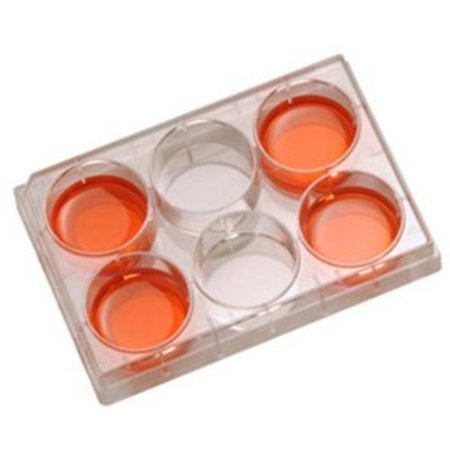 BIOLOGIX USA Cell Culture Plates, 6 Well, 50PK 141372